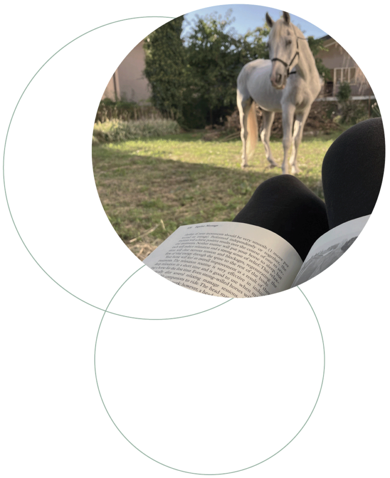 Eqwos Articles Knowledge Base