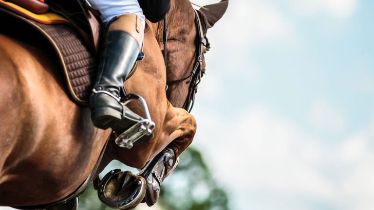Peak Performance – How Physiotherapy Supports the Athletic Horse