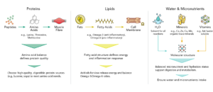 Proteins, fats and micronutrients in the horse's diet